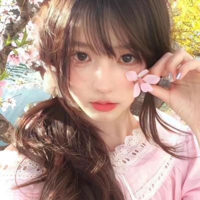 燕子盗